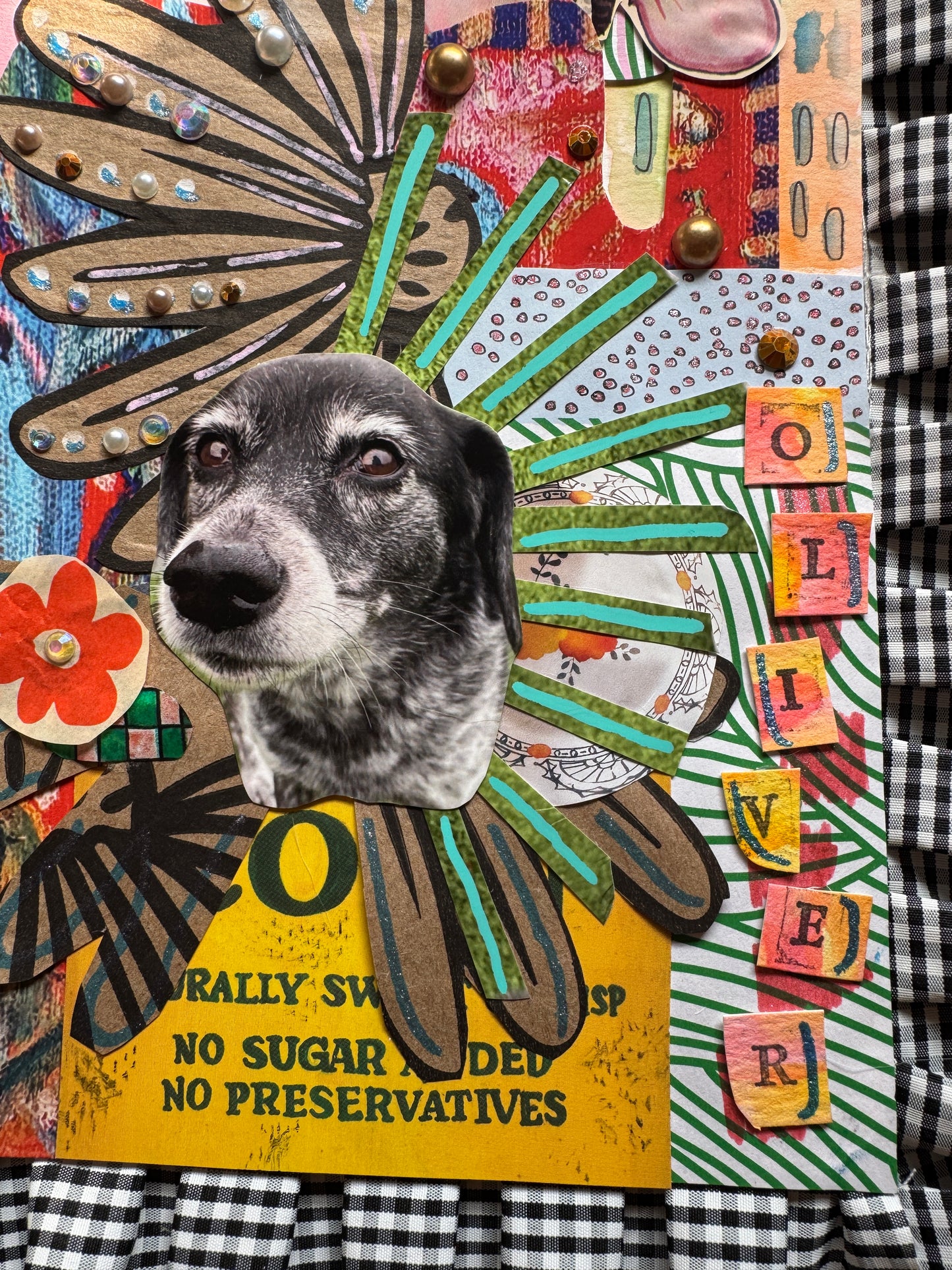 custom pet collage